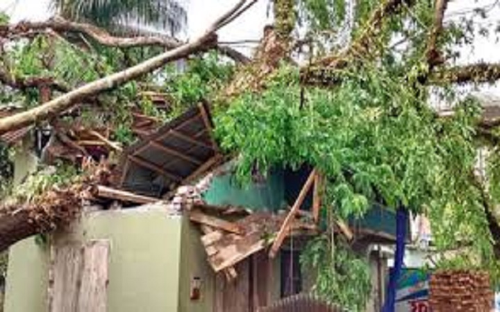 ঝালকাঠিতে ঝড়ে লণ্ডভণ্ড ঘর-বাড়ি, গবাদিপশুর মৃত্যু